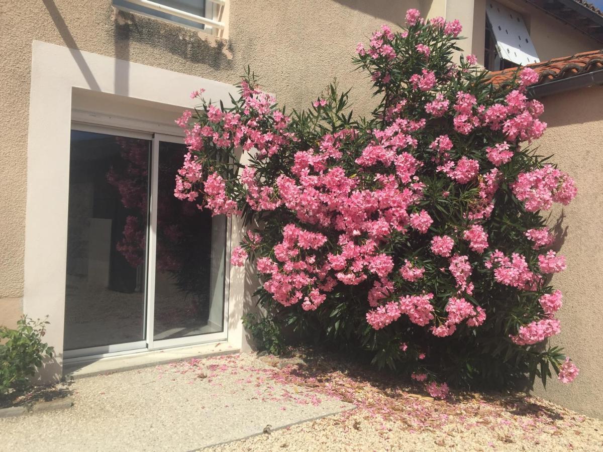 Gîte de la Foye - Le magnolia Combrand Extérieur photo